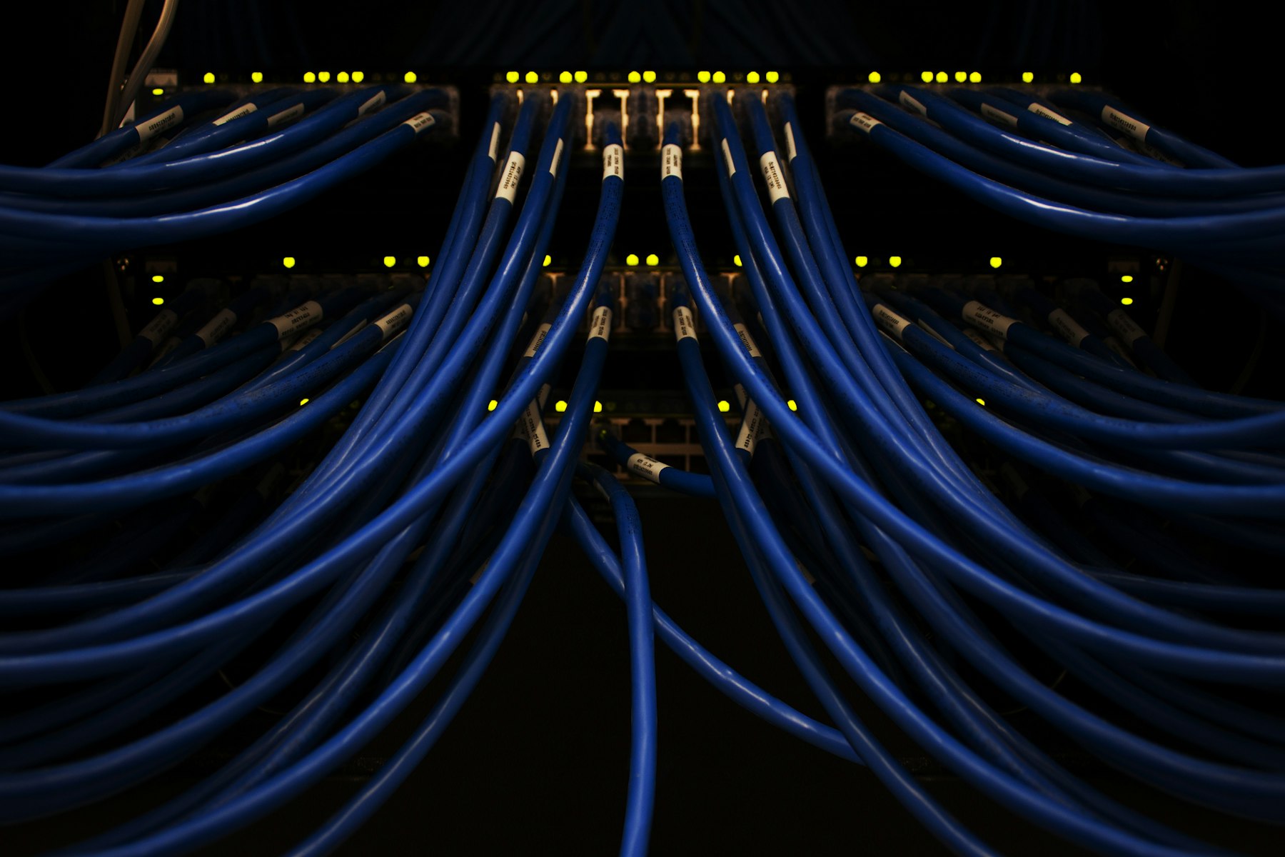 Blaue Netzwerkkabel an einem Verteiler